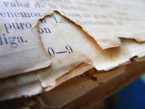 biblioteca 239 copy.jpg